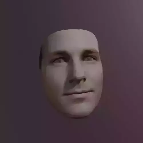 PopFace BaseMesh - Paul Rudd