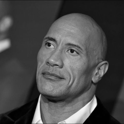 PopFace BaseMesh - Dwayne Johnson 3D model_1
