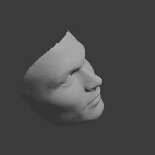 PopFace BaseMesh - Jason Momoa 3D model_11