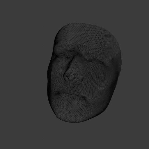 PopFace BaseMesh - Ezra Miller 3D model_12