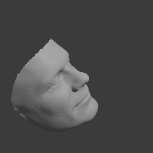PopFace BaseMesh - John Cena 3D model_11