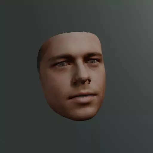 PopFace BaseMesh - Brad Pitt 3D model_0