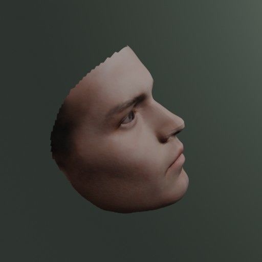 PopFace BaseMesh - Johnny Depp 3D model_6