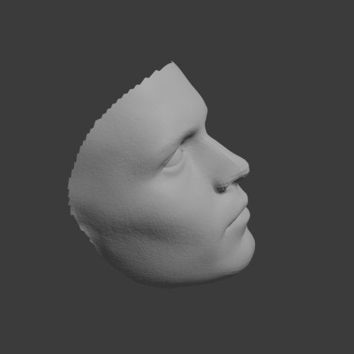 PopFace BaseMesh - Johnny Depp 3D model_11