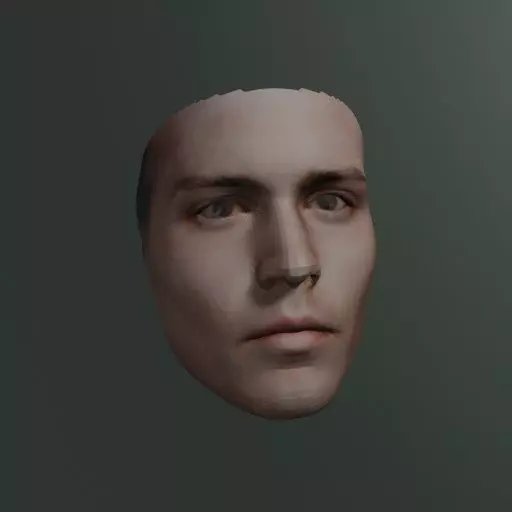 PopFace BaseMesh - Johnny Depp 3D model_0
