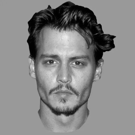 PopFace BaseMesh - Johnny Depp 3D model_1
