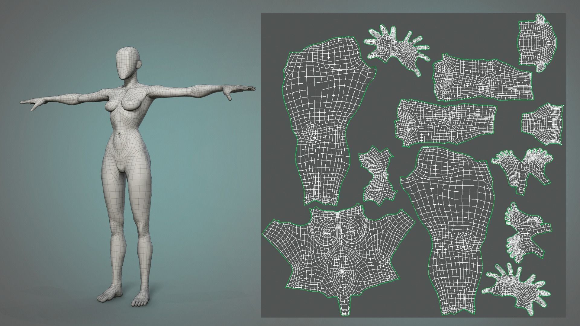 Male and female stylized basemesh Low-poly 3D model_11