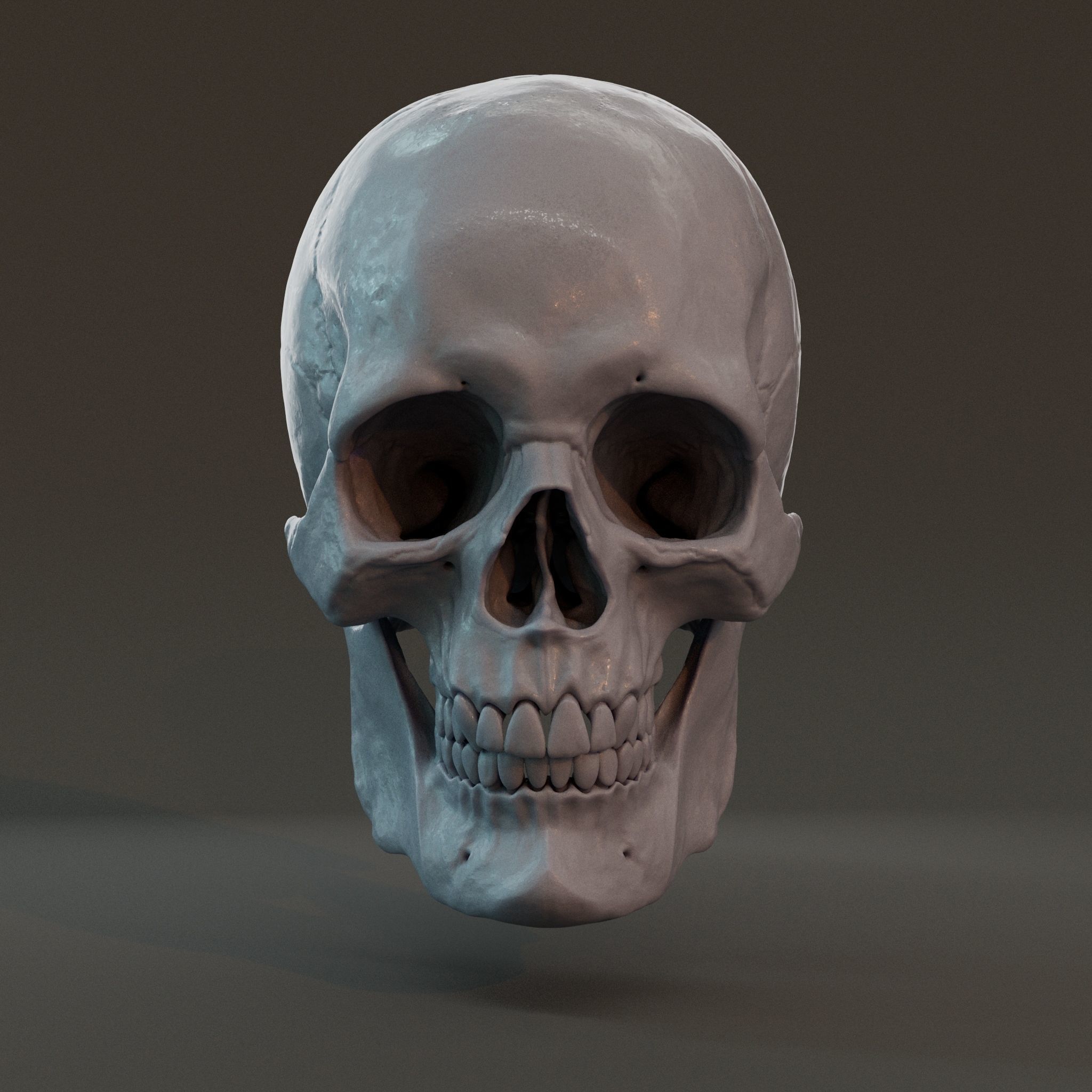 Male skull 3D print model_1
