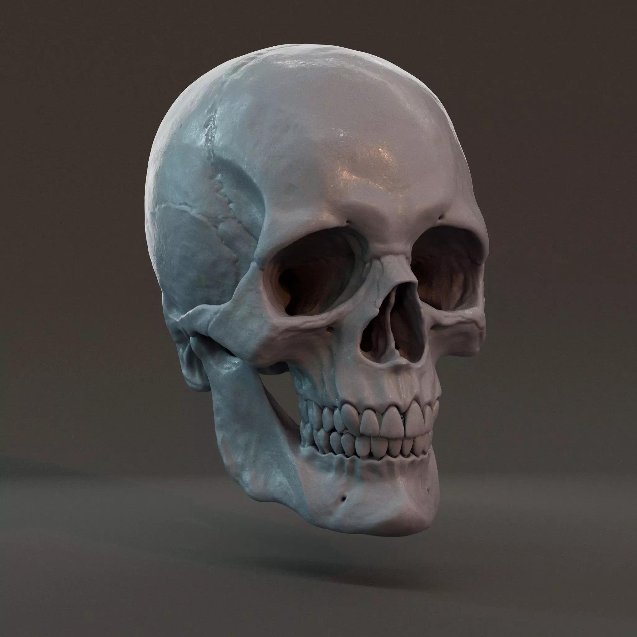 Male skull 3D print model_0