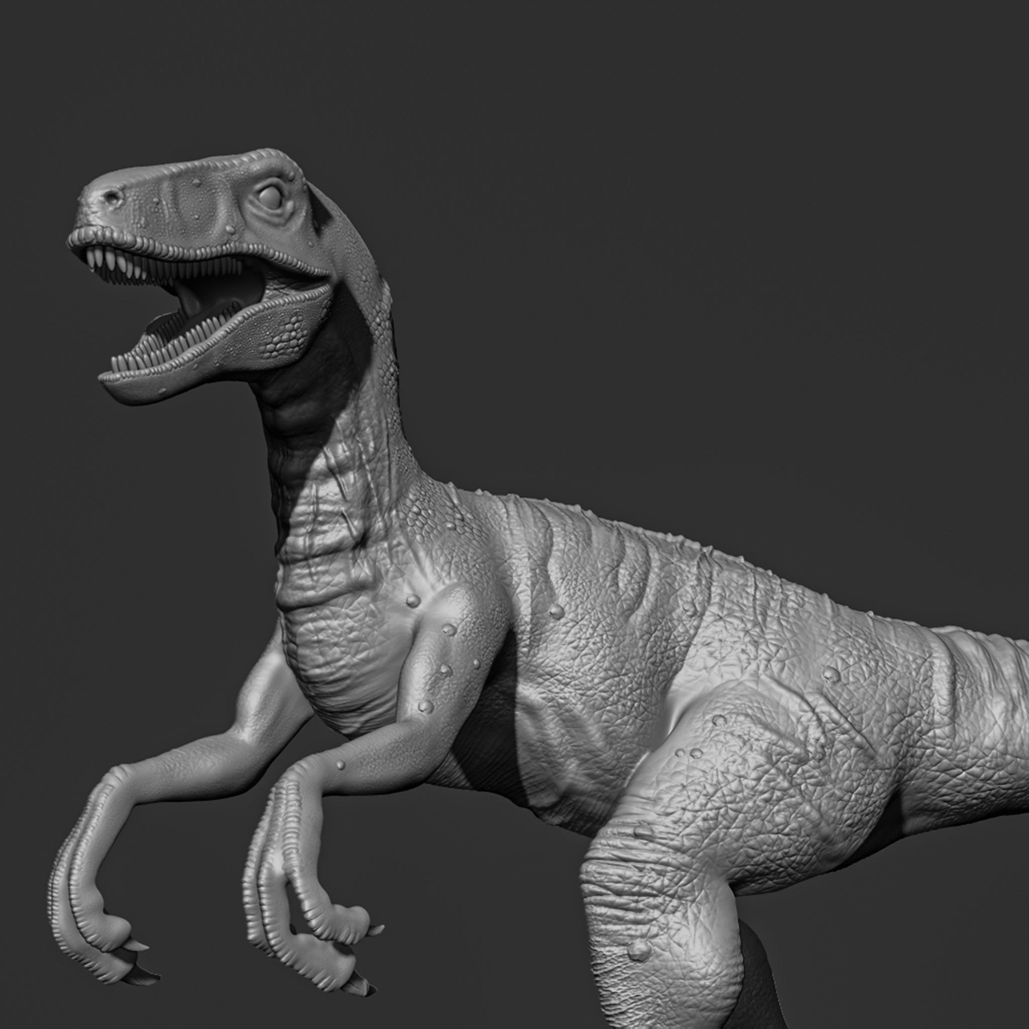 Velociraptor-dinosaur 3D print model_4