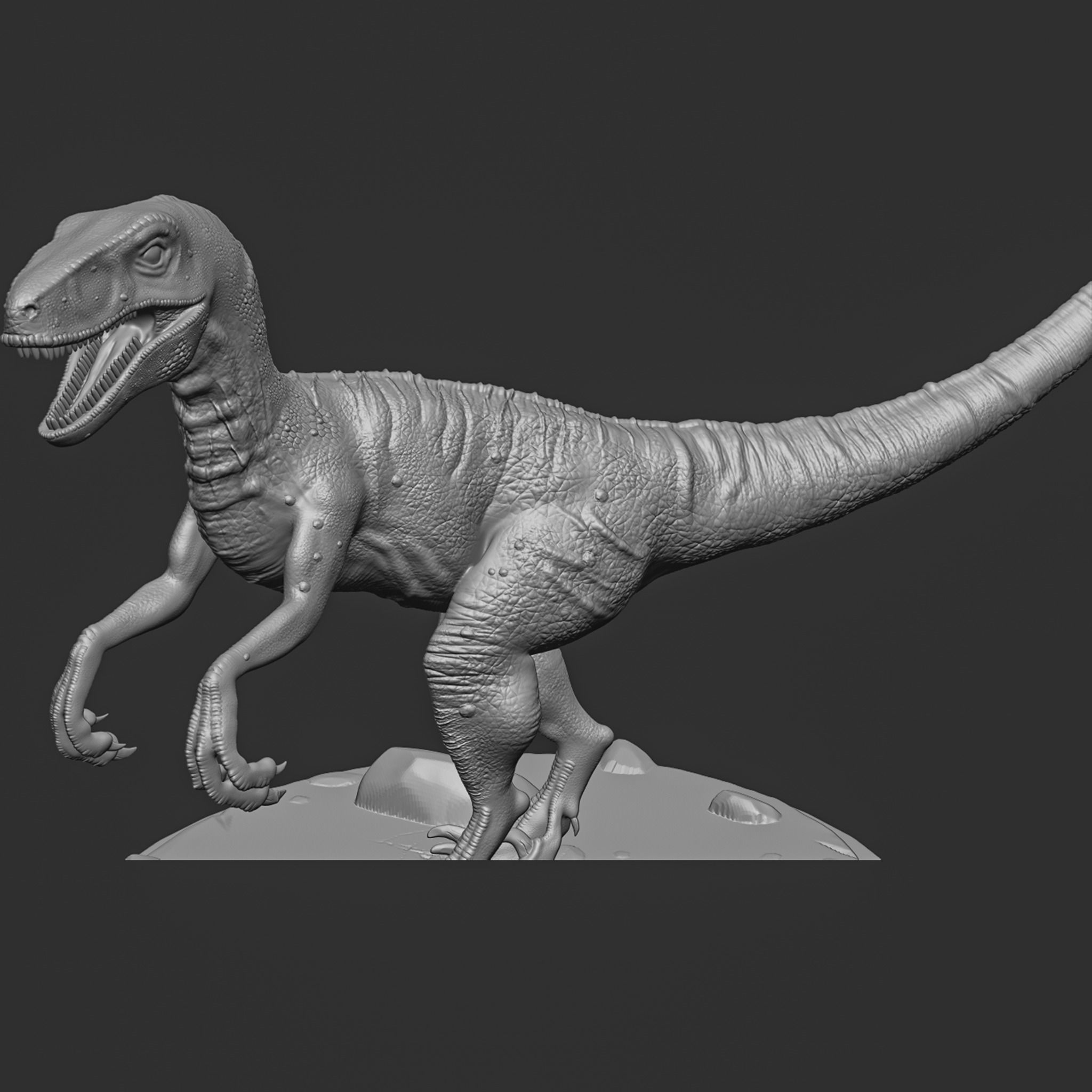 Velociraptor-dinosaur 3D print model_10