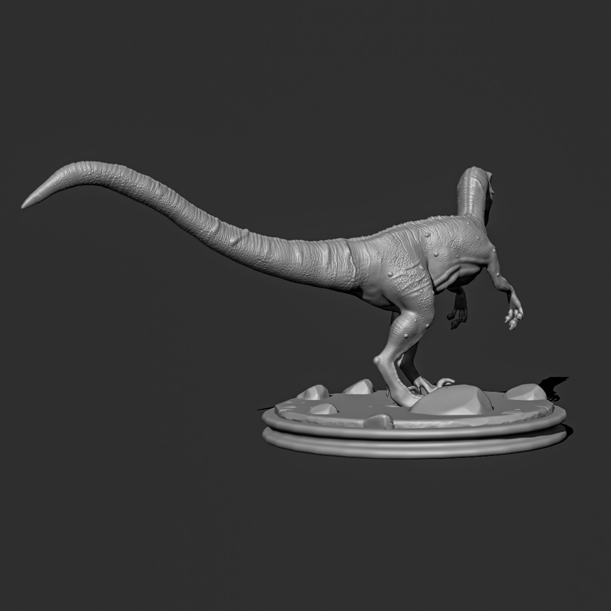 Velociraptor-dinosaur 3D print model_8
