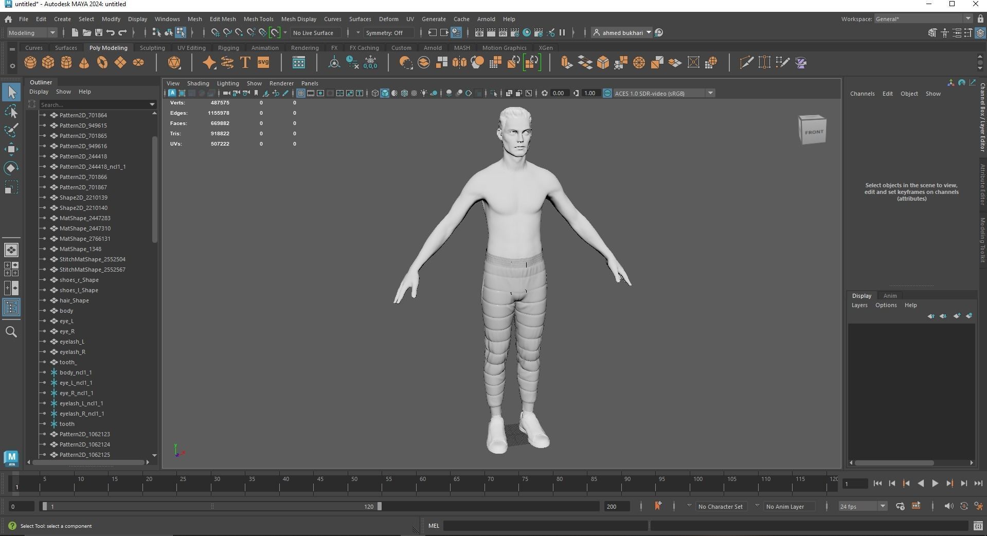 Marvelous Trousers 3D Model 3D model_7