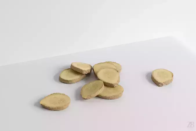 Ginger 3D model