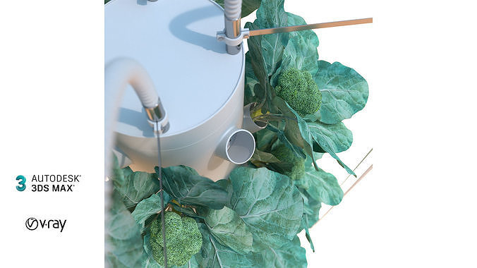 Hydroponics 3D model 7