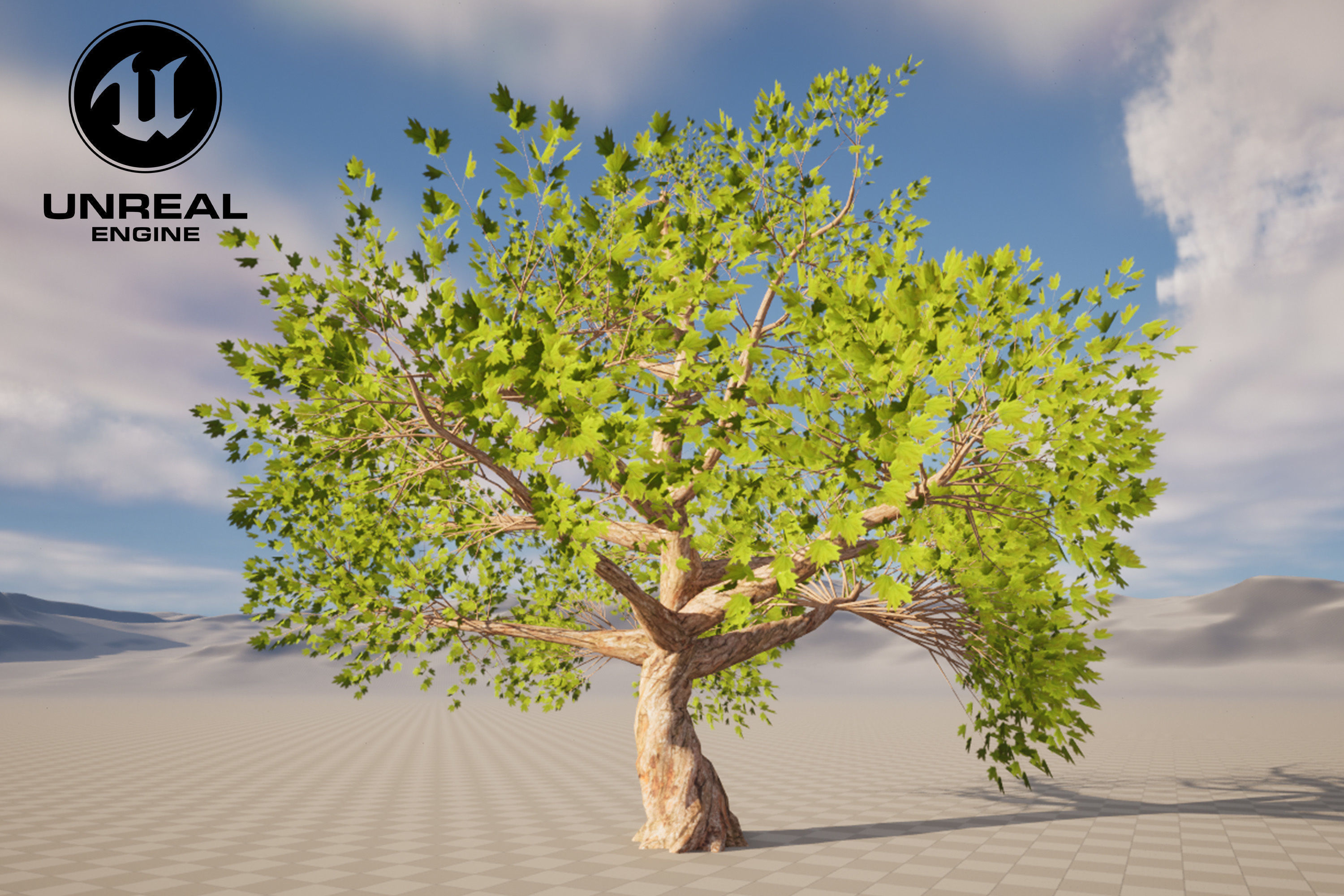 Tree 01 Low-poly 3D model_4