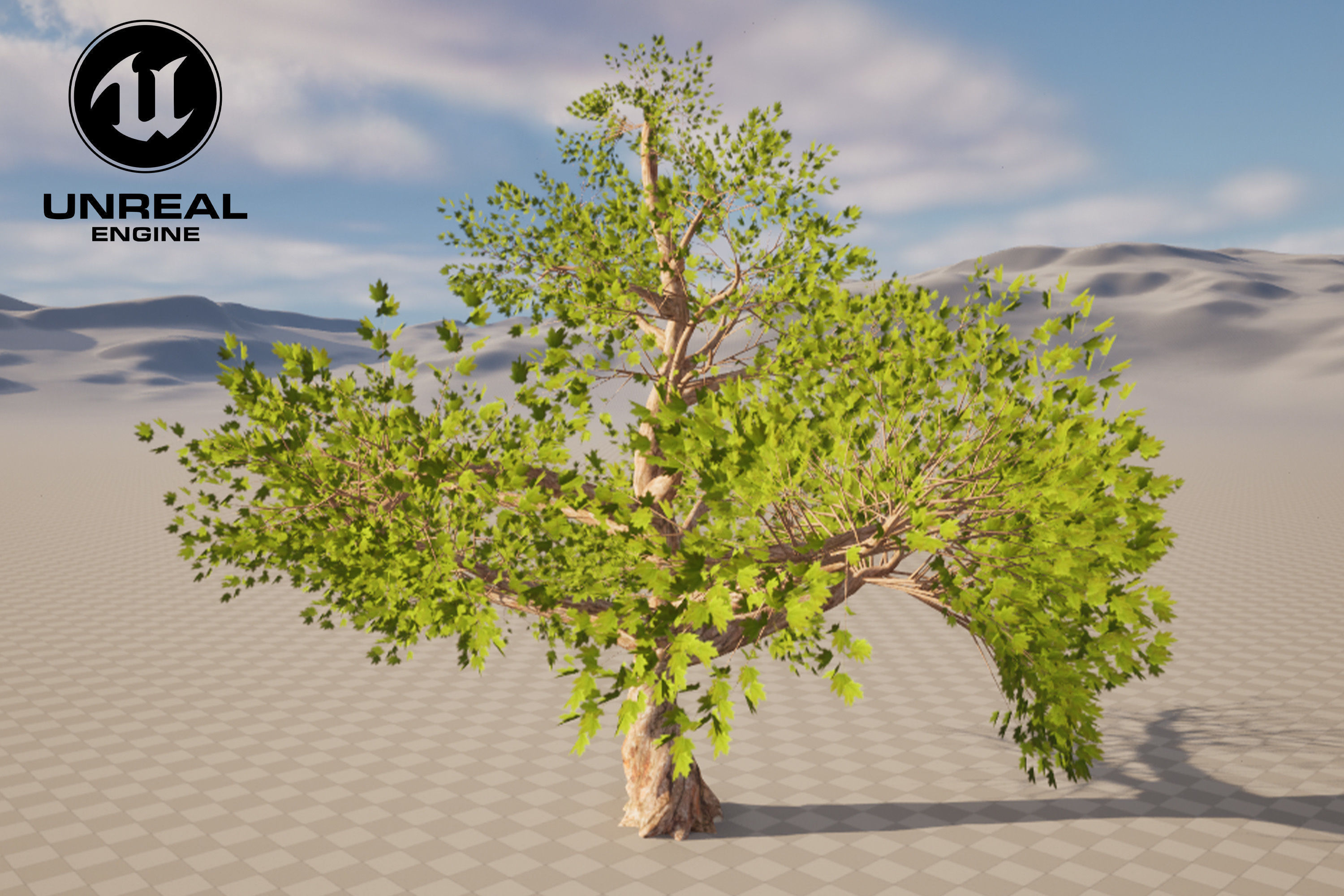 Tree 01 Low-poly 3D model_5
