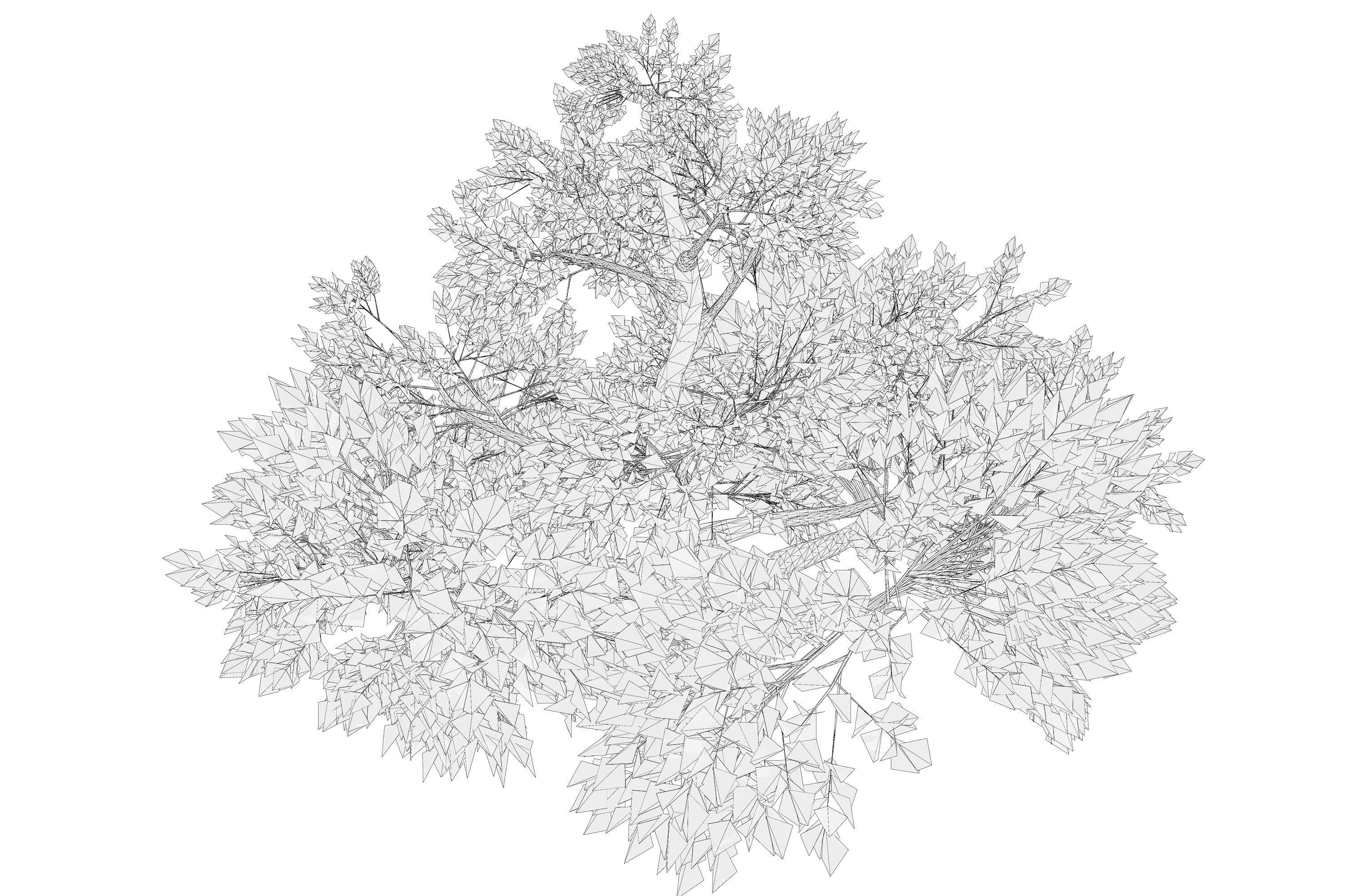 Tree 01 Low-poly 3D model_10