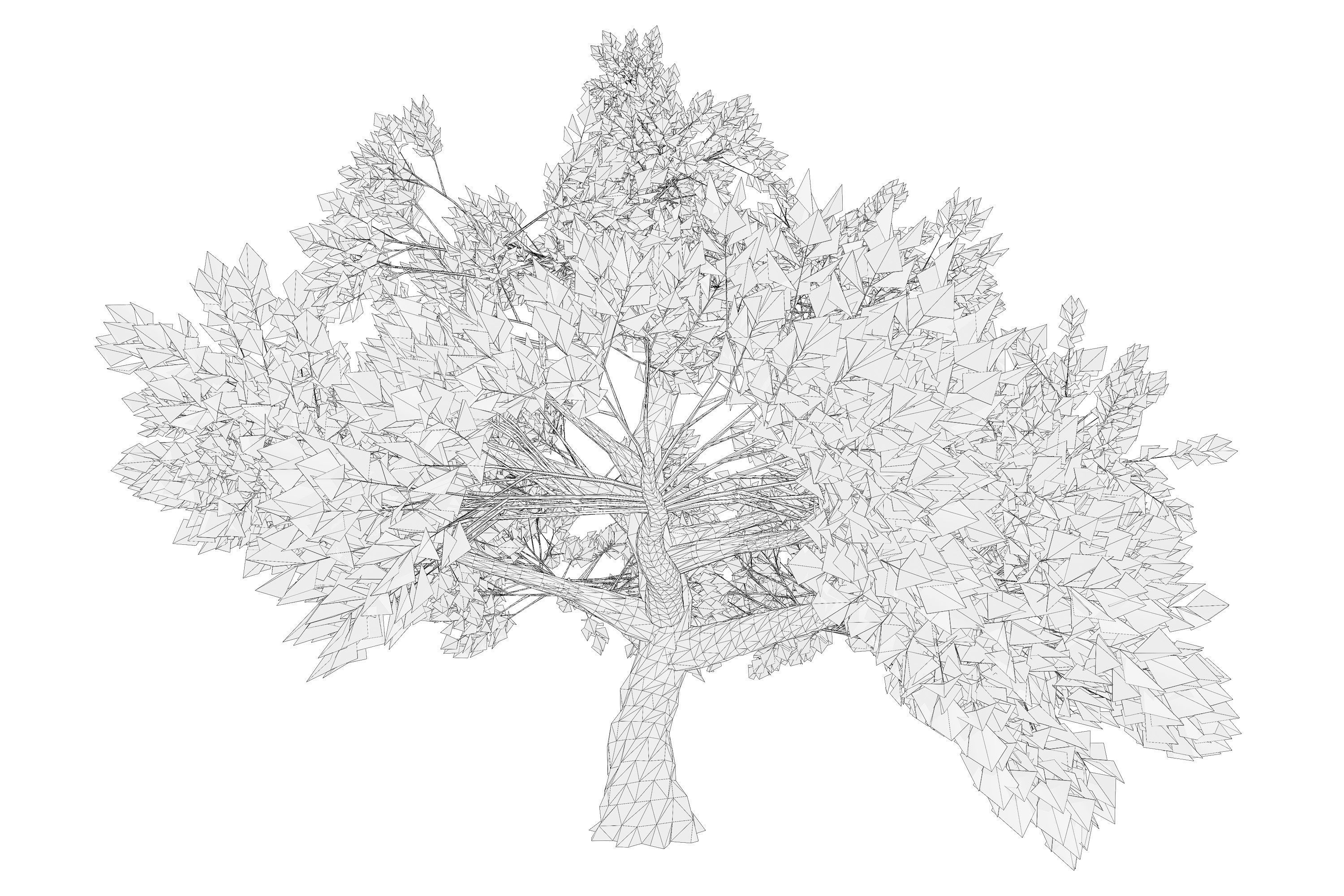 Tree 01 Low-poly 3D model_8