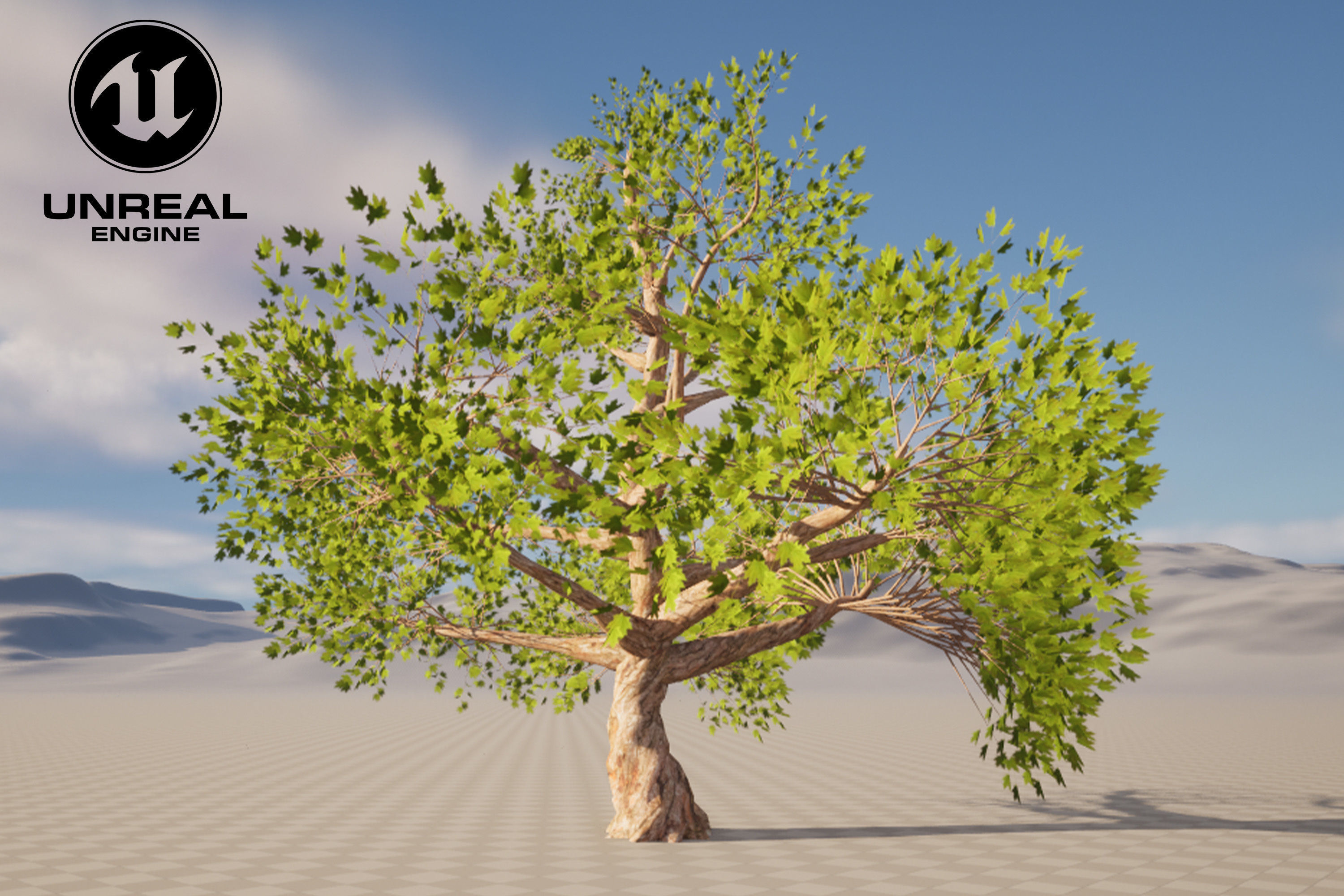 Tree 01 Low-poly 3D model_6