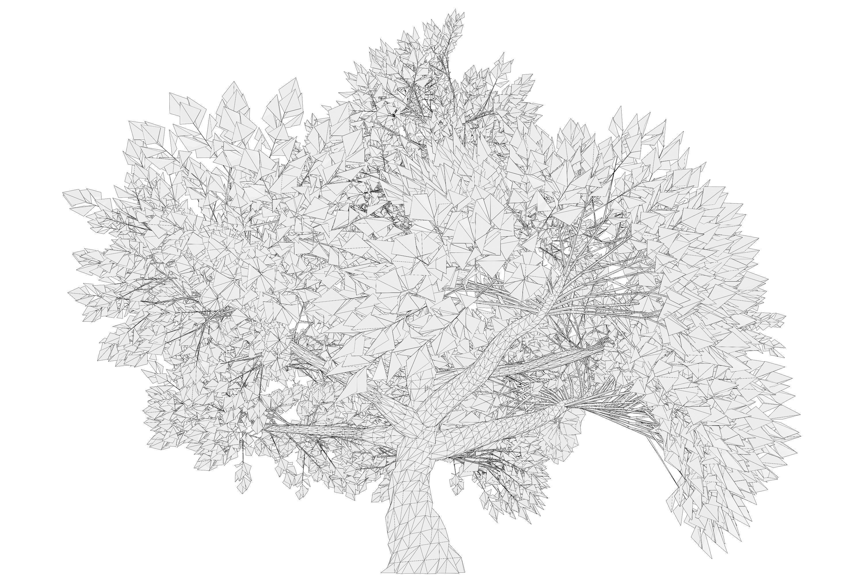 Tree 01 Low-poly 3D model_9