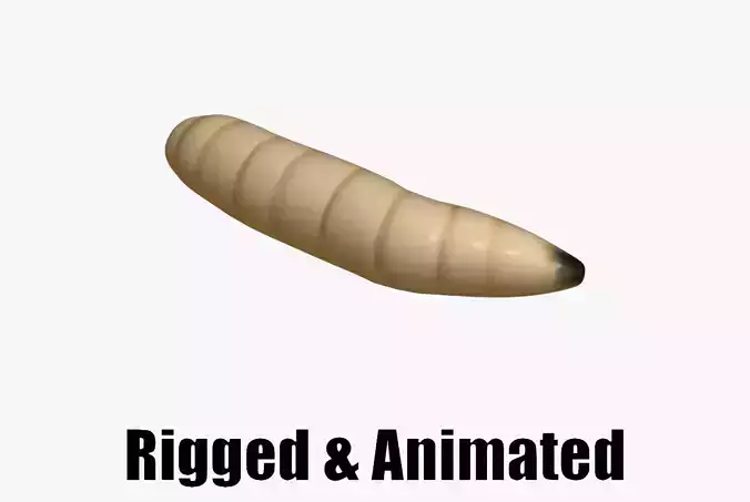 animated maggot