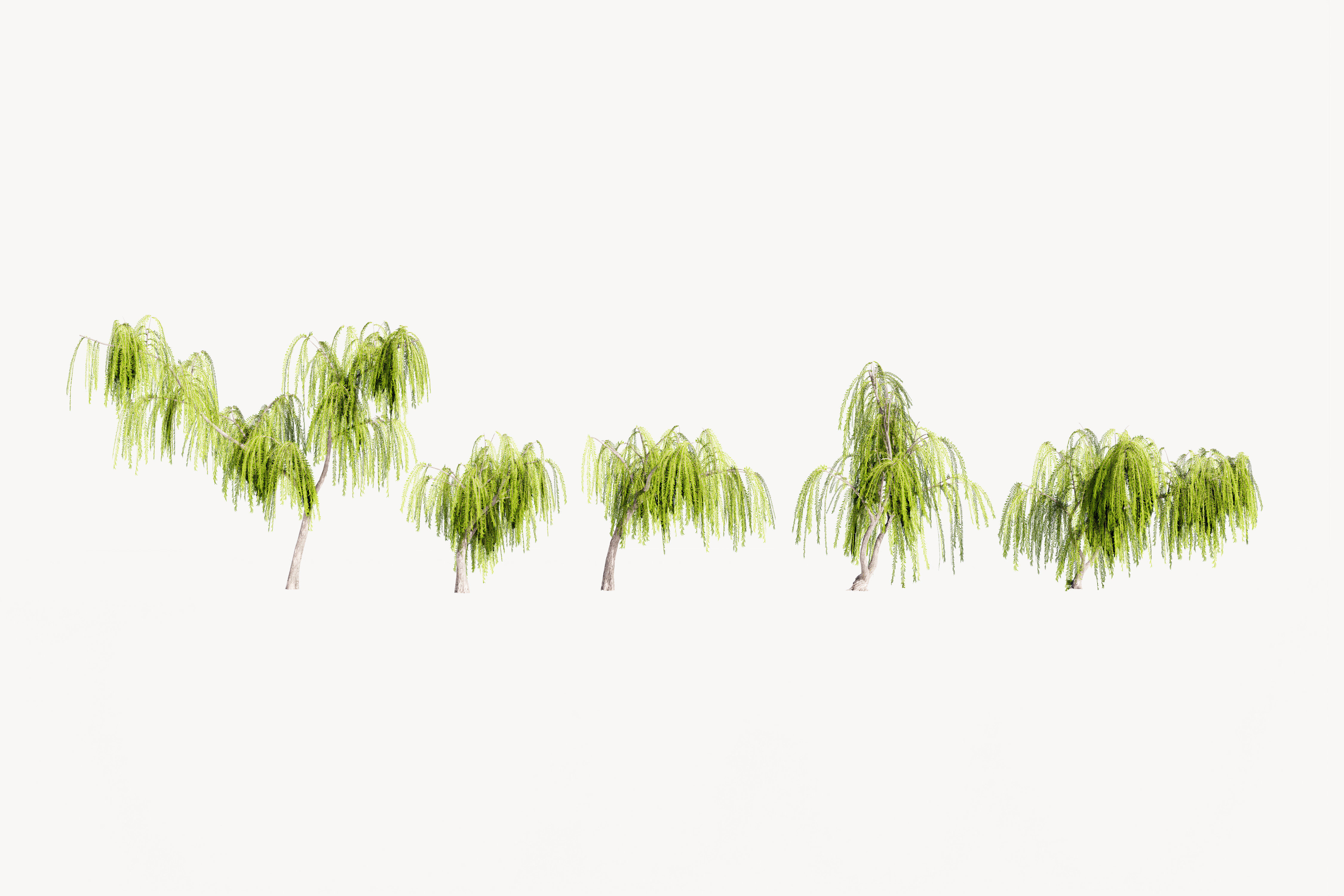 5 Willow Tree Low-poly 3D model_9
