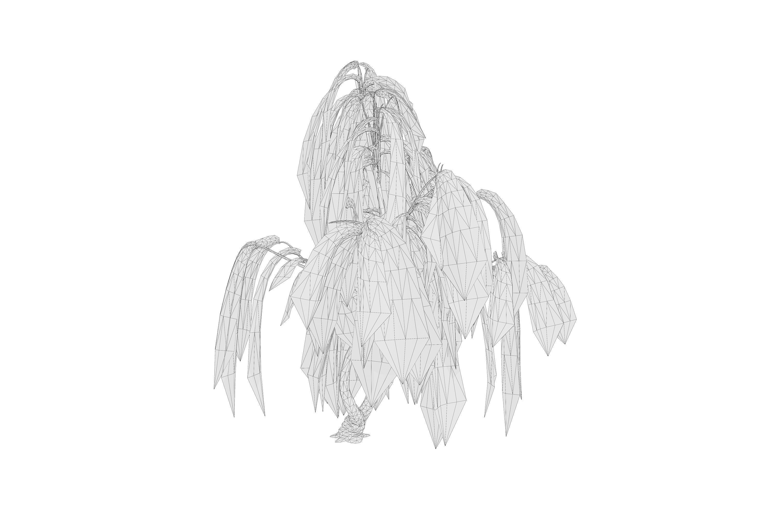 5 Willow Tree Low-poly 3D model_16