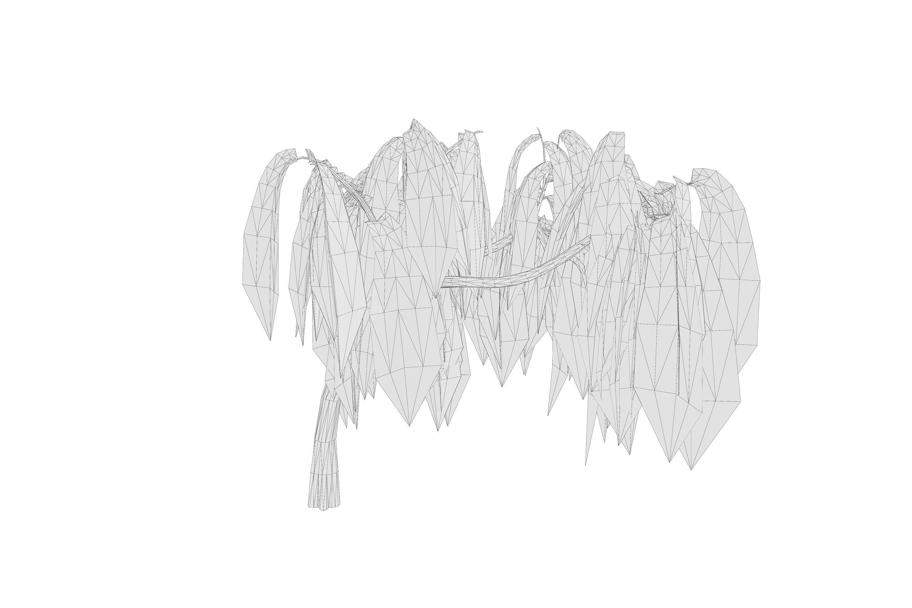 5 Willow Tree Low-poly 3D model_14