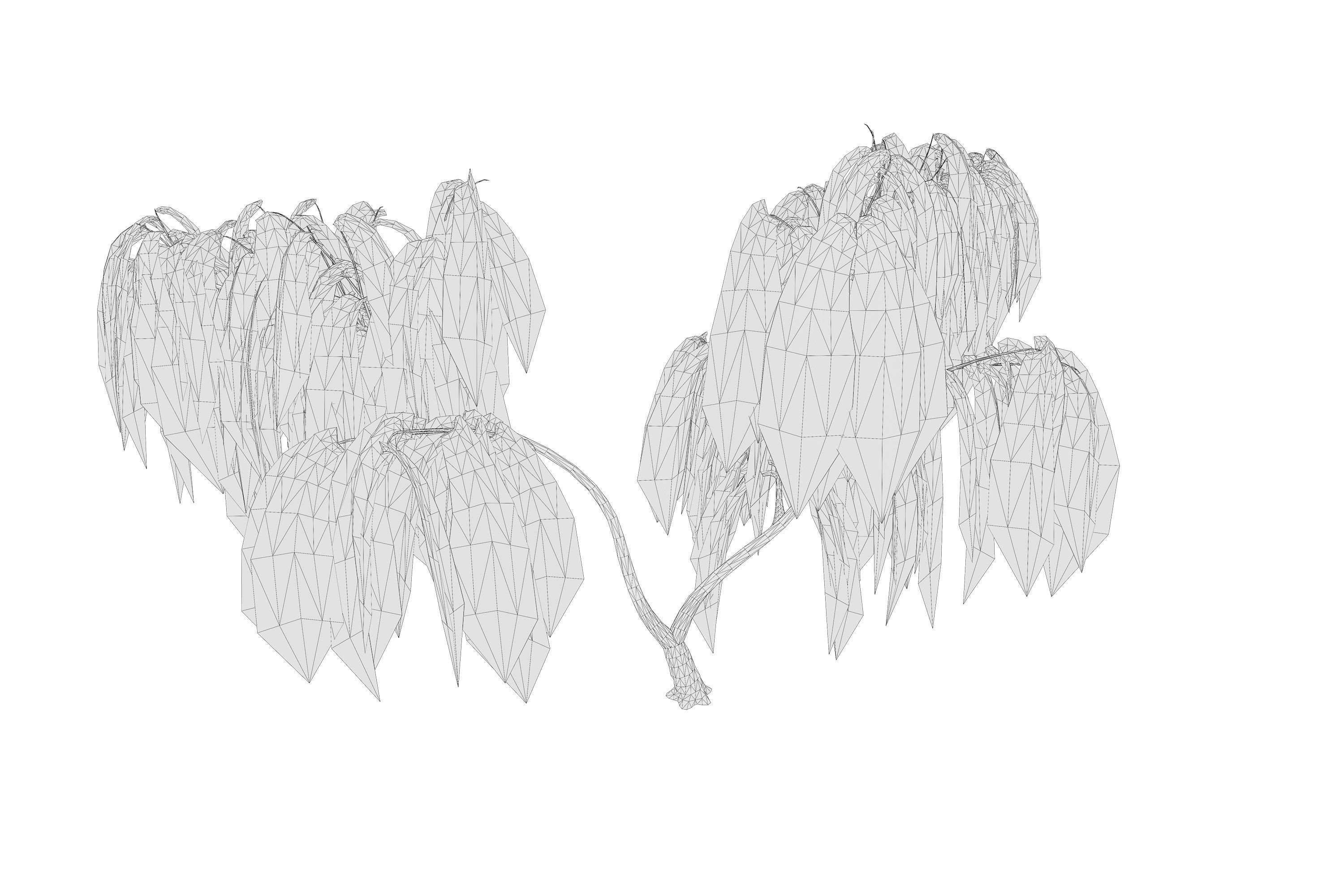 5 Willow Tree Low-poly 3D model_15