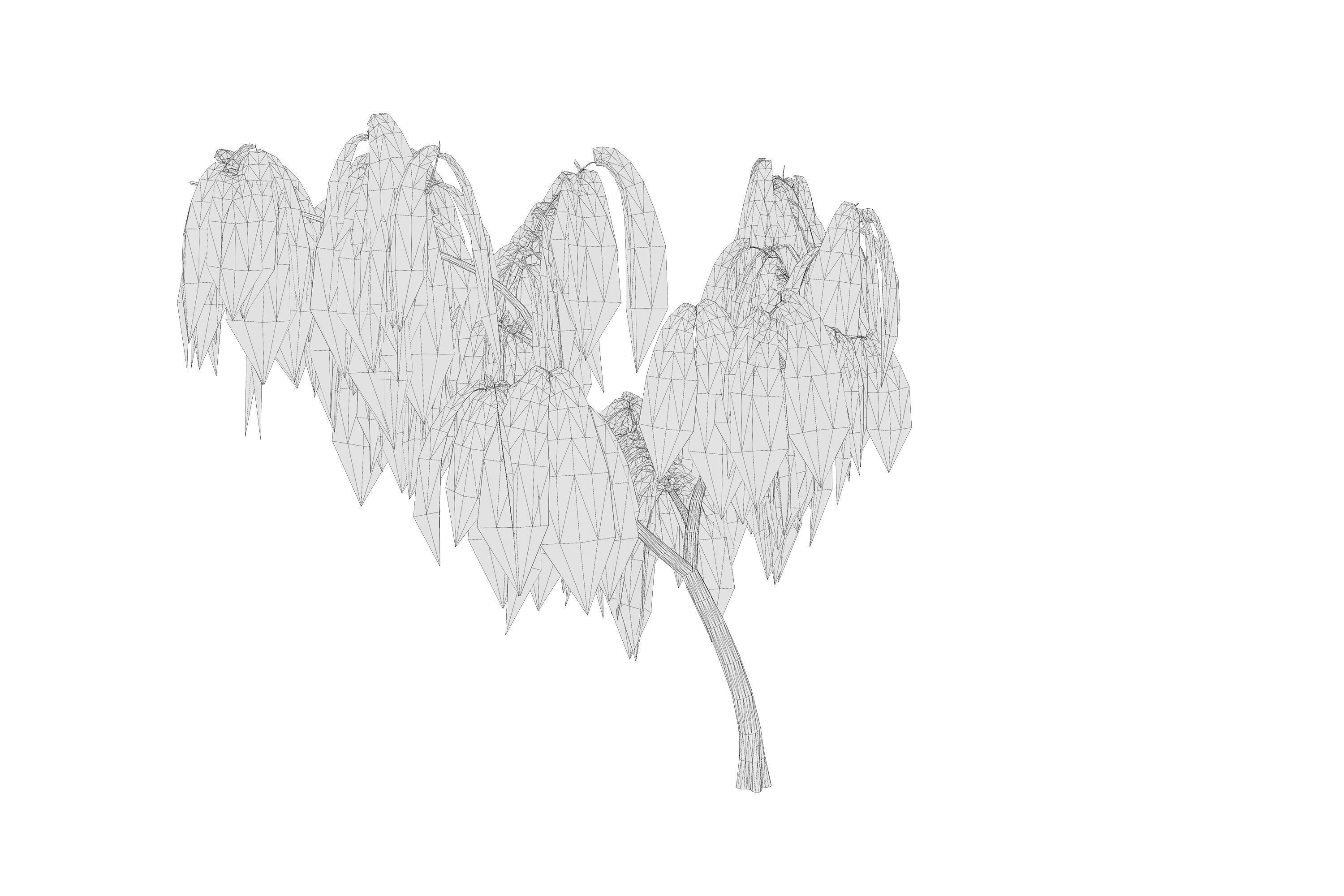 5 Willow Tree Low-poly 3D model_17