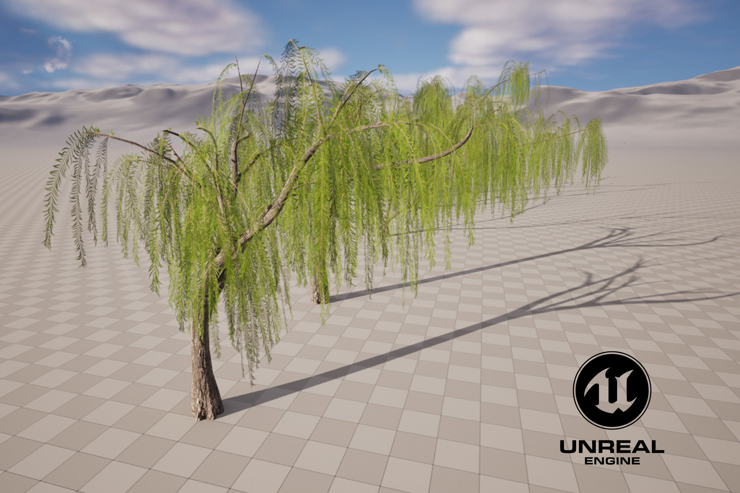 5 Willow Tree Low-poly 3D model_10
