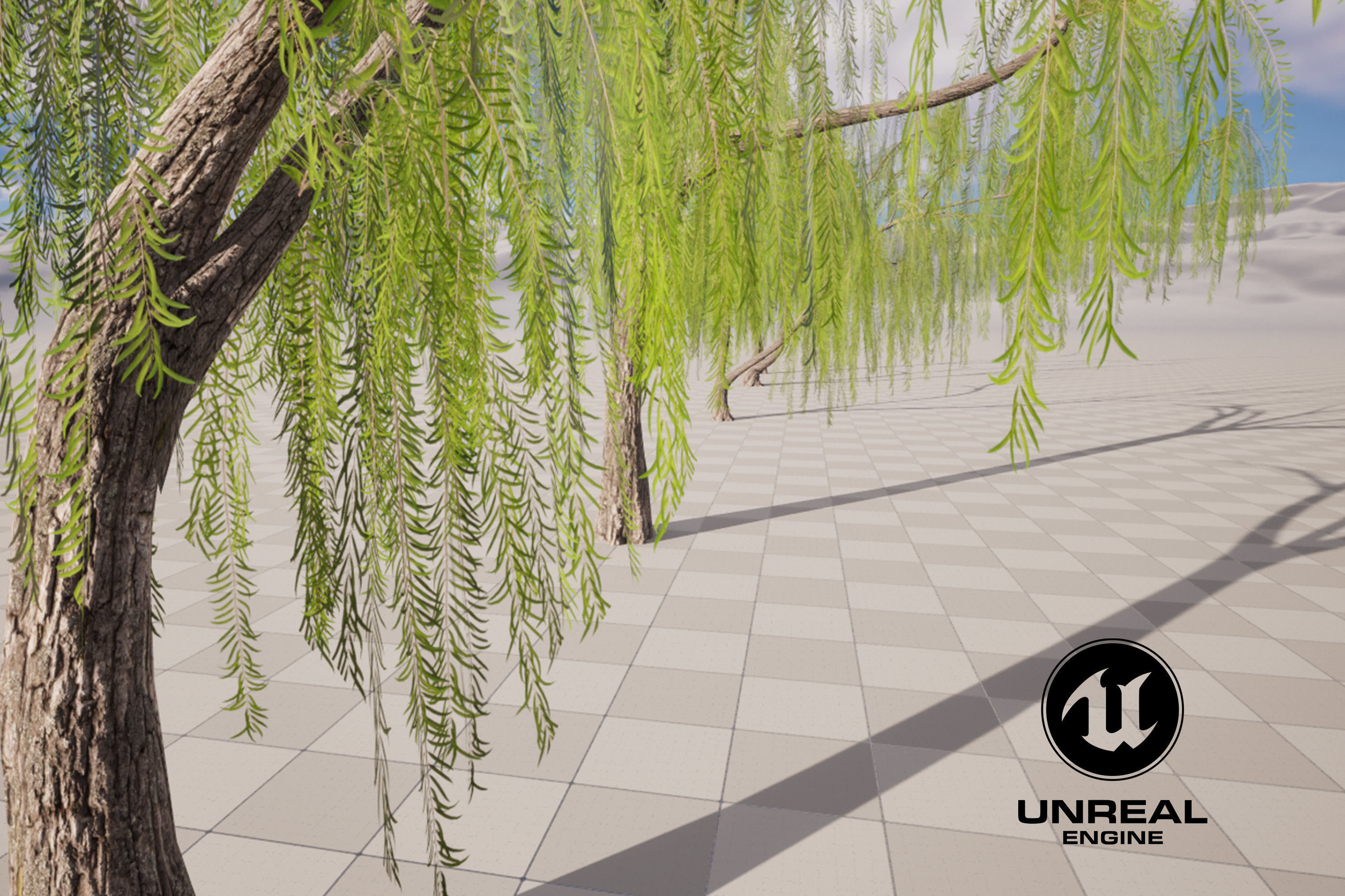 5 Willow Tree Low-poly 3D model_3