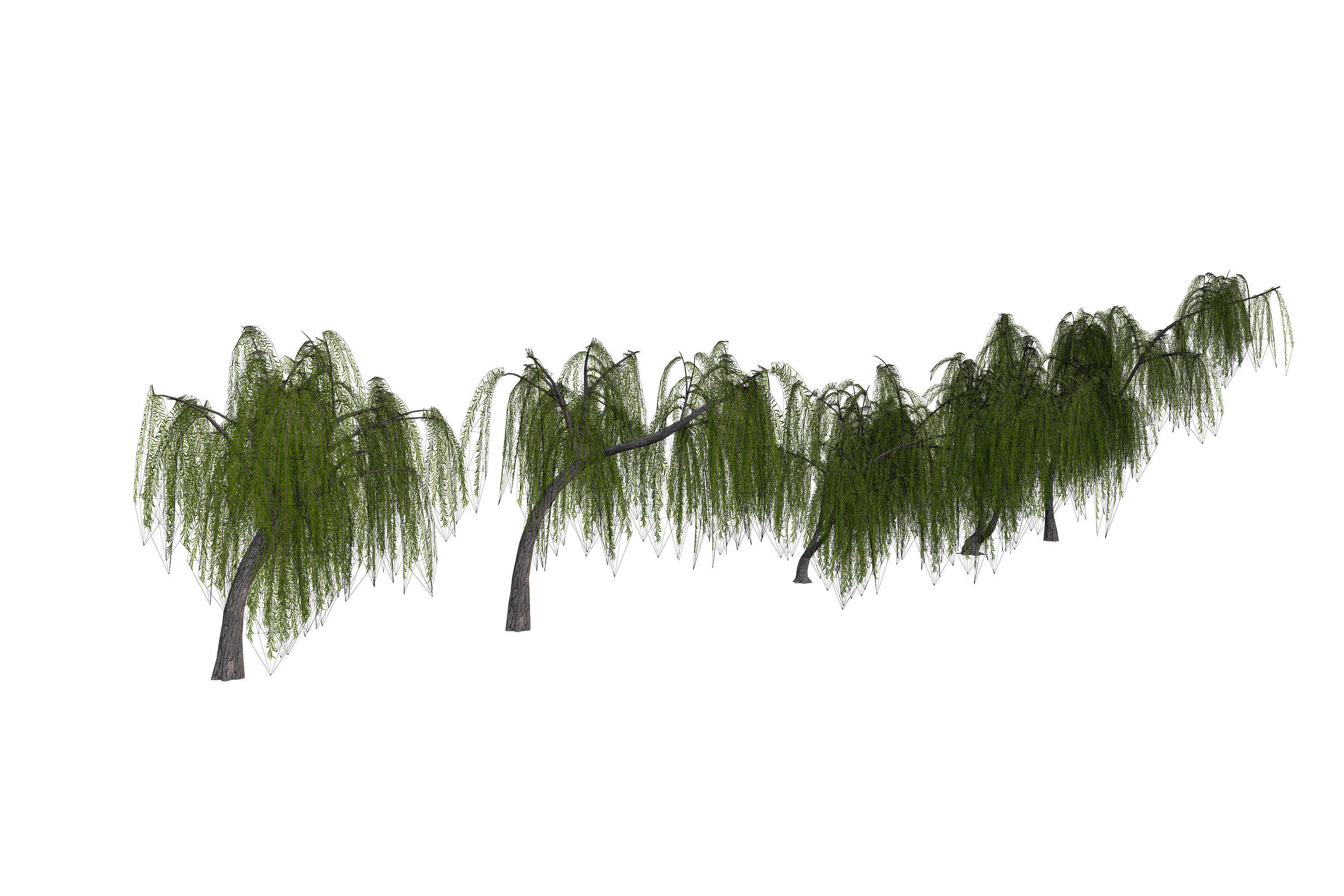 5 Willow Tree Low-poly 3D model_18