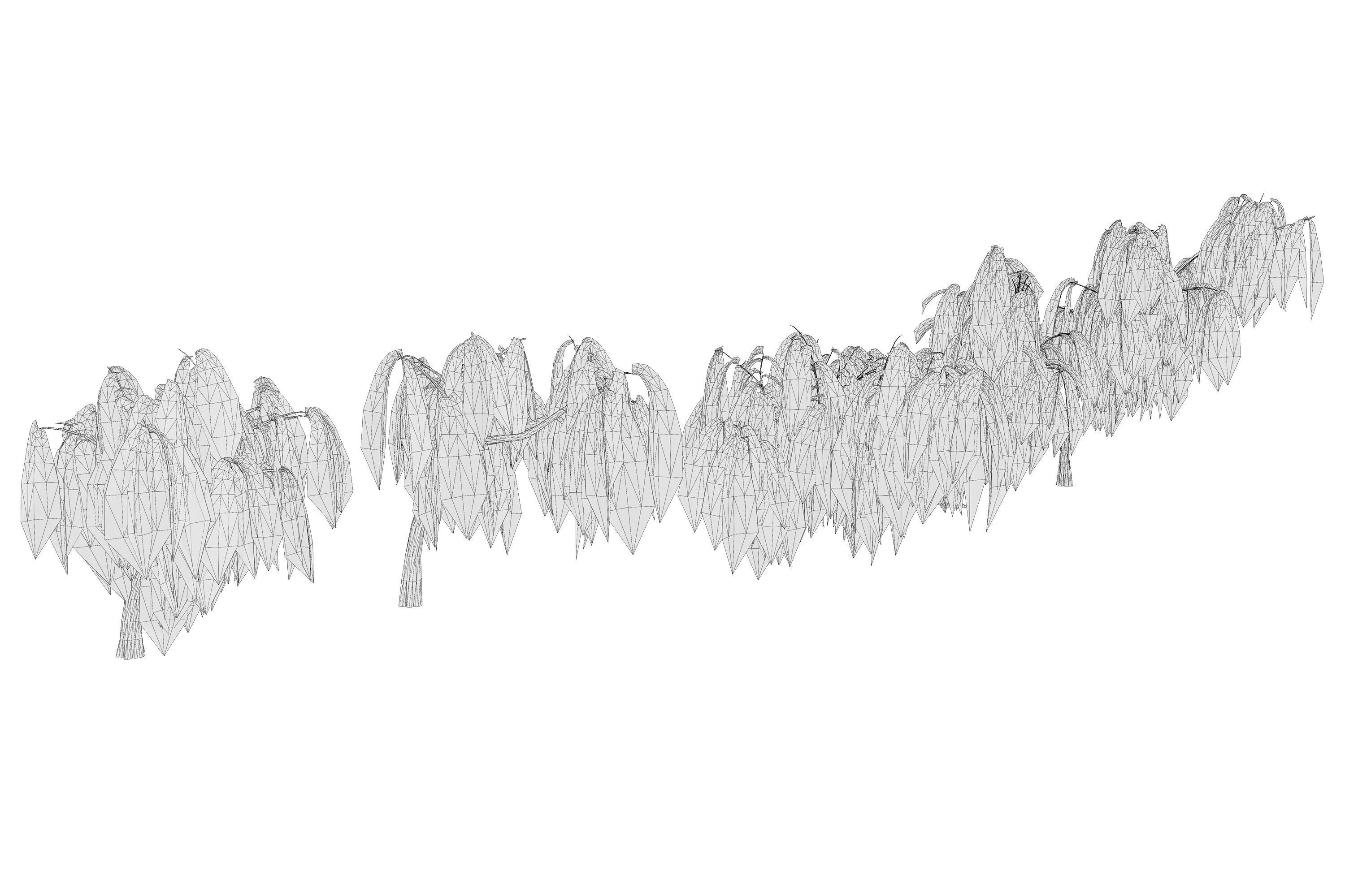 5 Willow Tree Low-poly 3D model_12