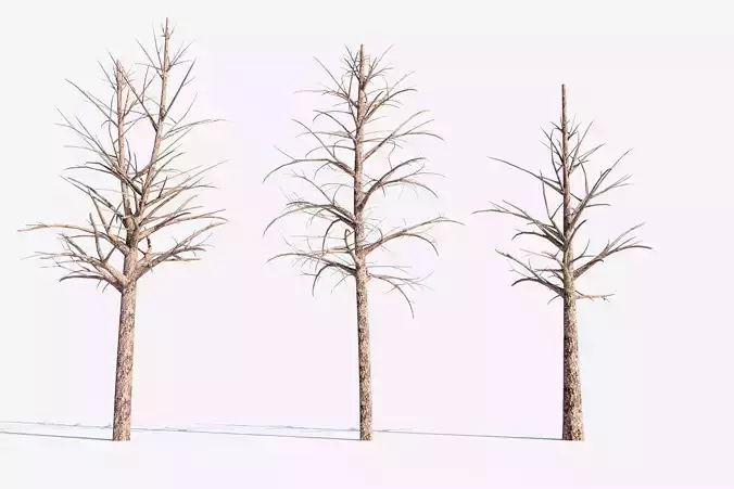 3 Dead Trees Pack