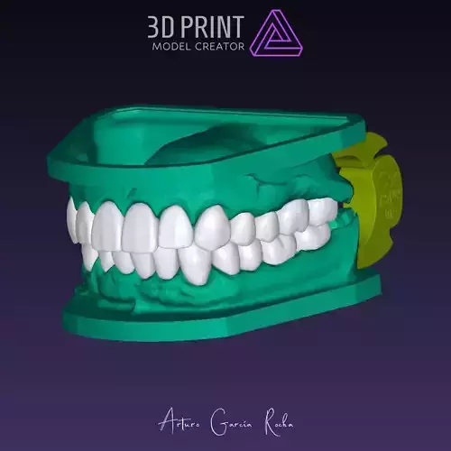 Dental model crowns