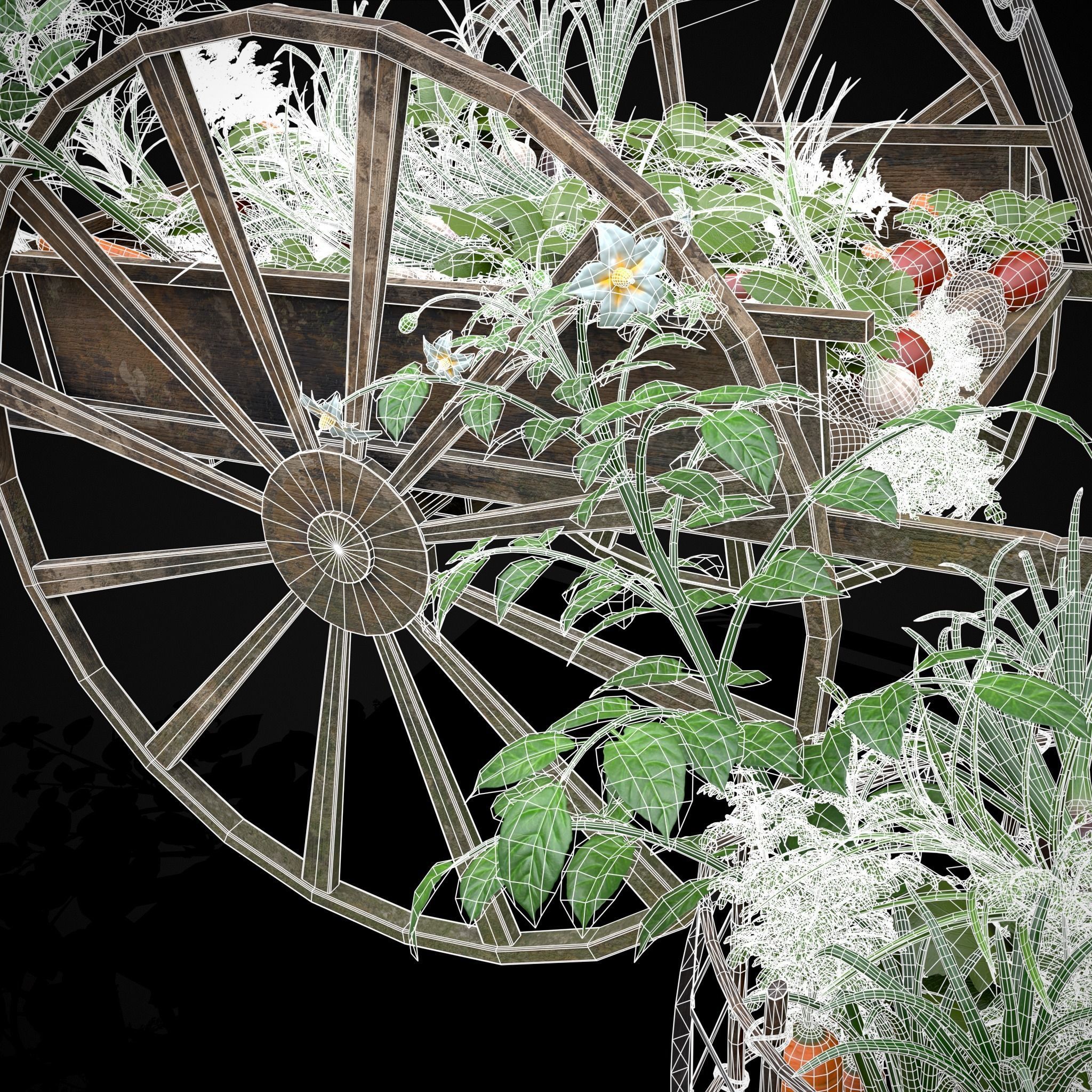 Wheelbarrow of Crops Low-poly 3D model_22
