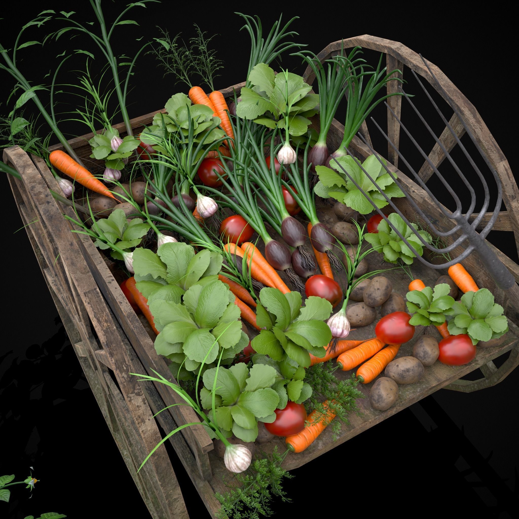 Wheelbarrow of Crops Low-poly 3D model_26