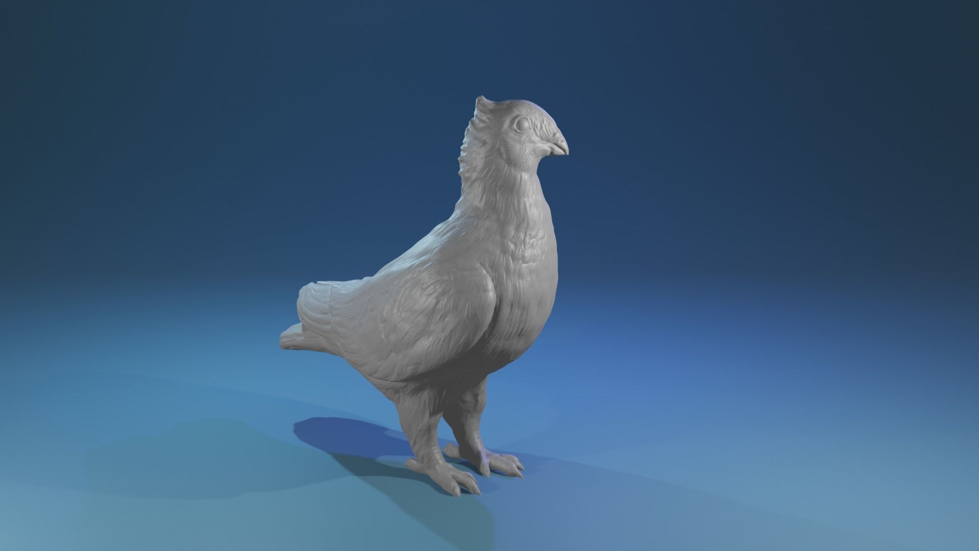 Highpoly Swiss Lucerne pigeon Rassetaube Schweiz Farbtaube  3D print model_4