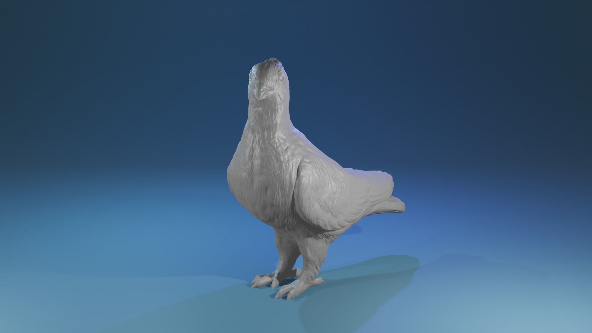 Highpoly Swiss Lucerne pigeon Rassetaube Schweiz Farbtaube  3D print model_3