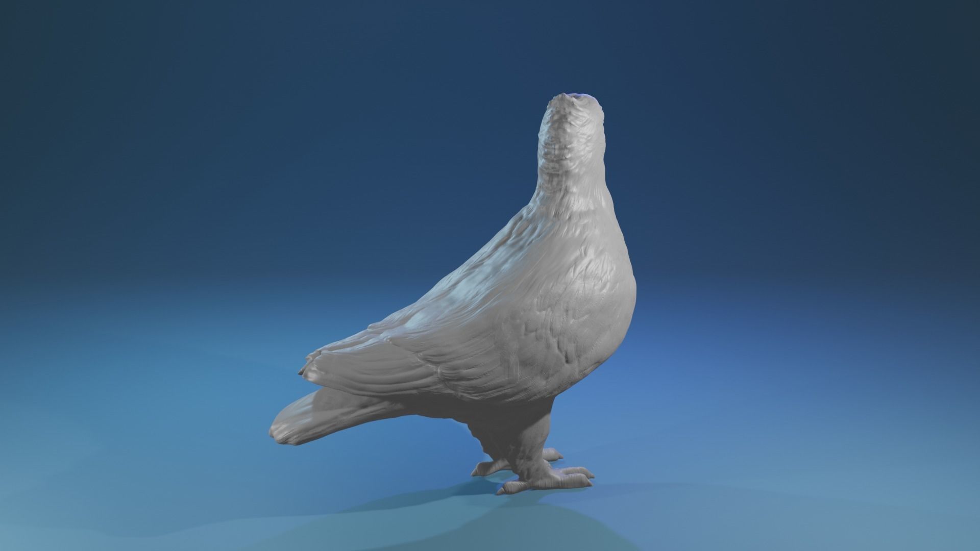 Highpoly Swiss Lucerne pigeon Rassetaube Schweiz Farbtaube  3D print model_1