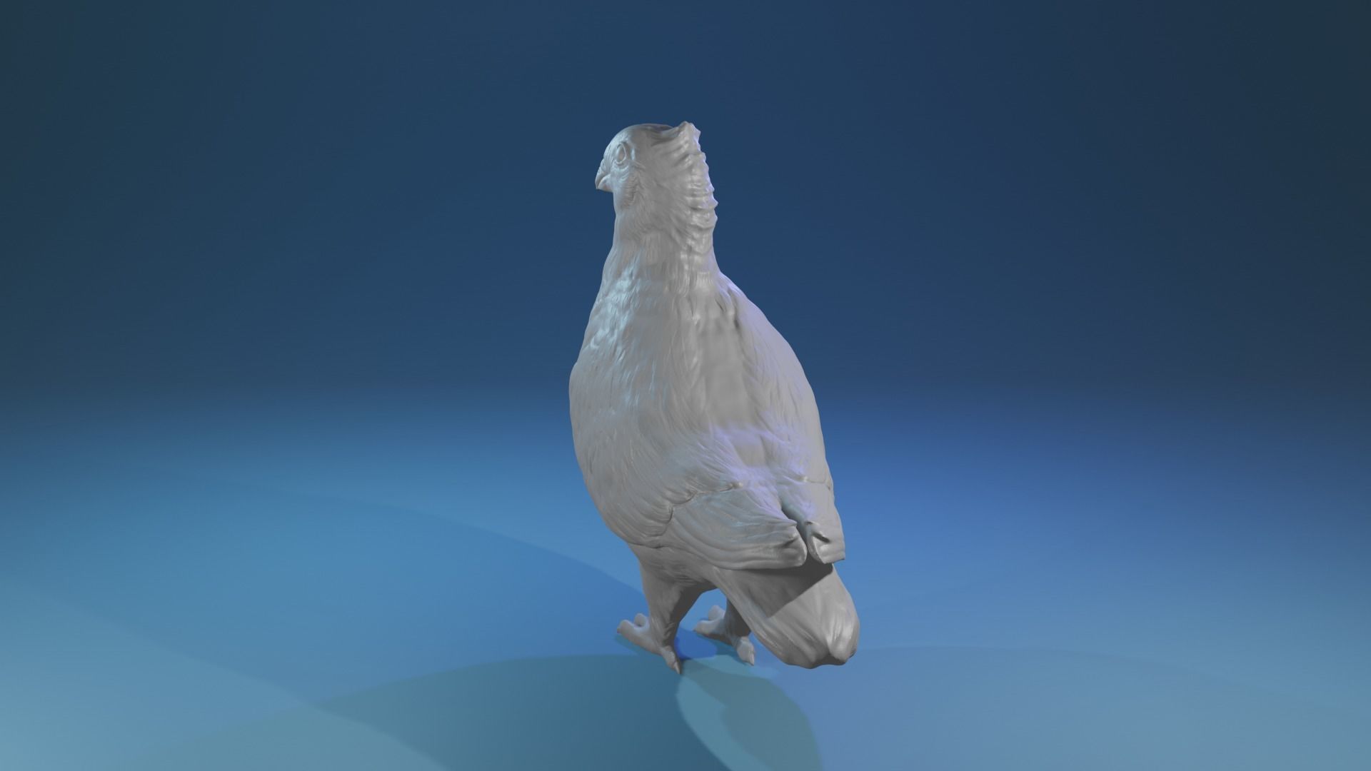 Highpoly Swiss Lucerne pigeon Rassetaube Schweiz Farbtaube  3D print model_2