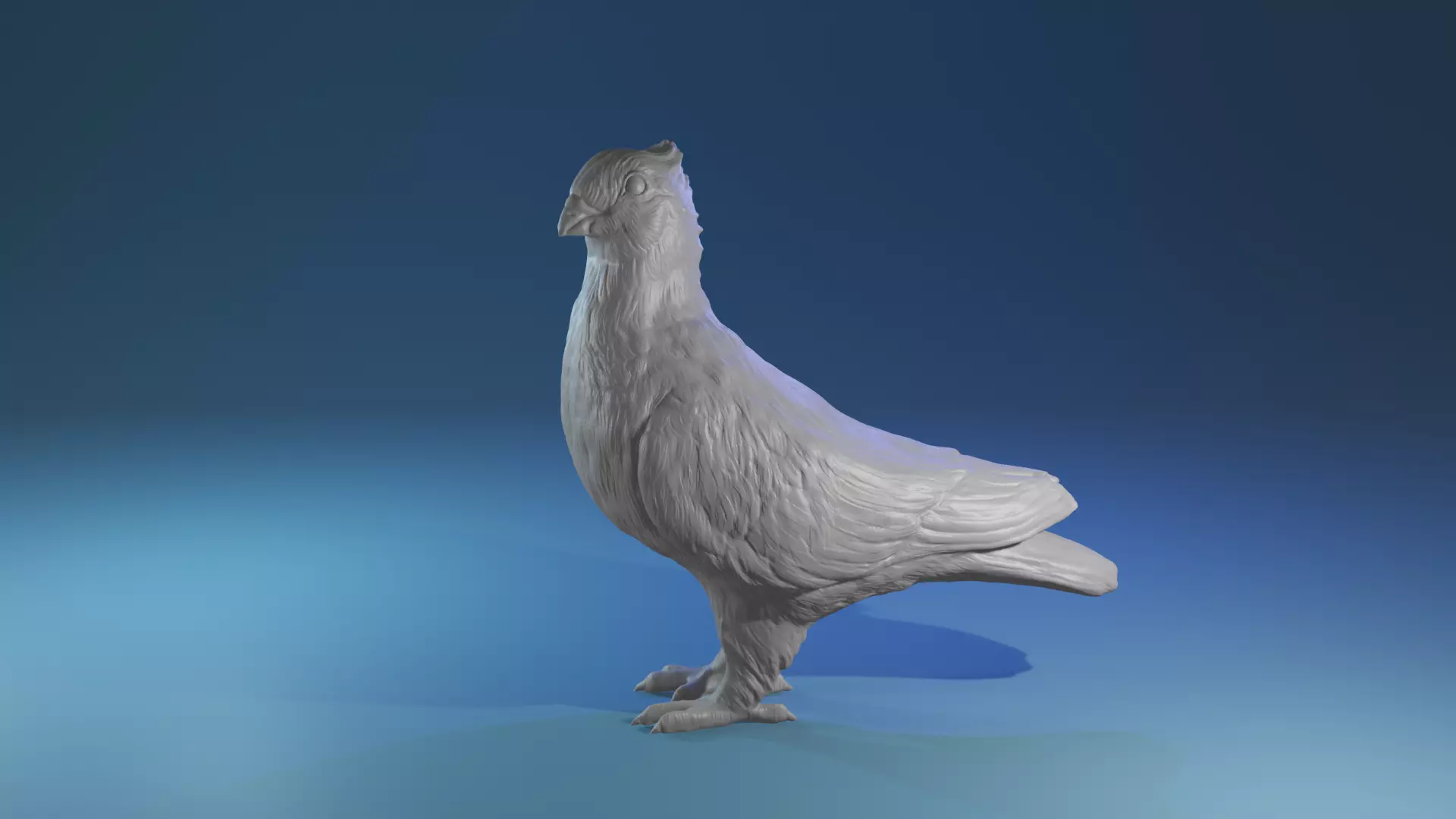 Highpoly Swiss Lucerne pigeon Rassetaube Schweiz Farbtaube  3D print model_0