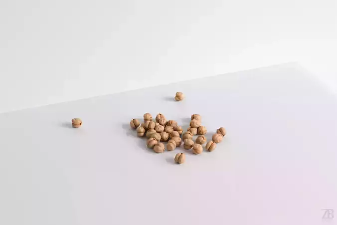 Chickpea 3D model