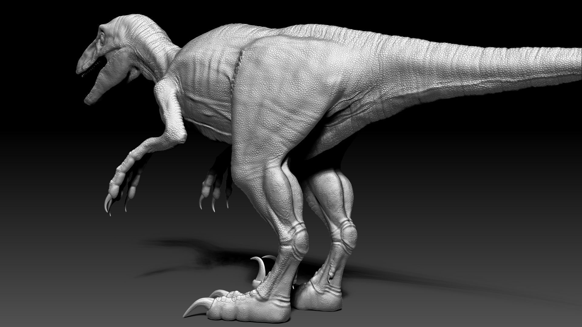 Dinosaur RAPTOR Dinosaur Hybrid Velociraptor Sculpt Project 3D model_11
