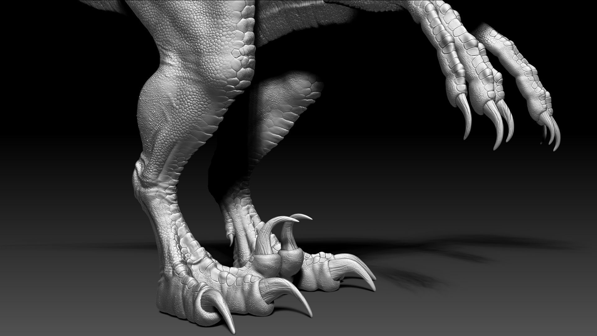 Dinosaur RAPTOR Dinosaur Hybrid Velociraptor Sculpt Project 3D model_9