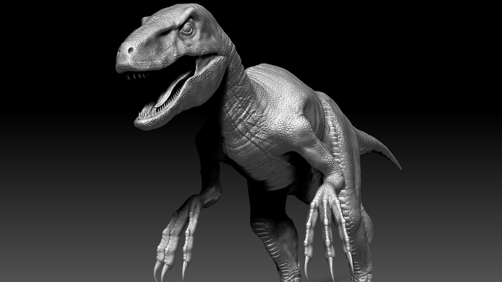 Dinosaur RAPTOR Dinosaur Hybrid Velociraptor Sculpt Project 3D model_12