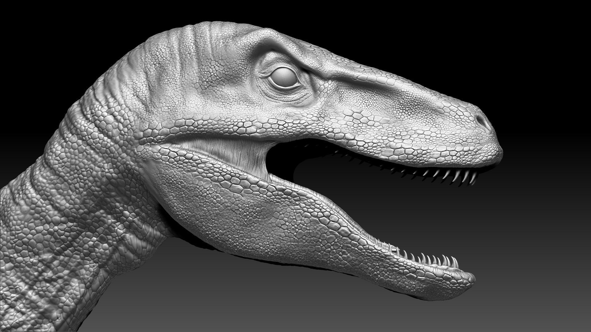 Dinosaur RAPTOR Dinosaur Hybrid Velociraptor Sculpt Project 3D model_7