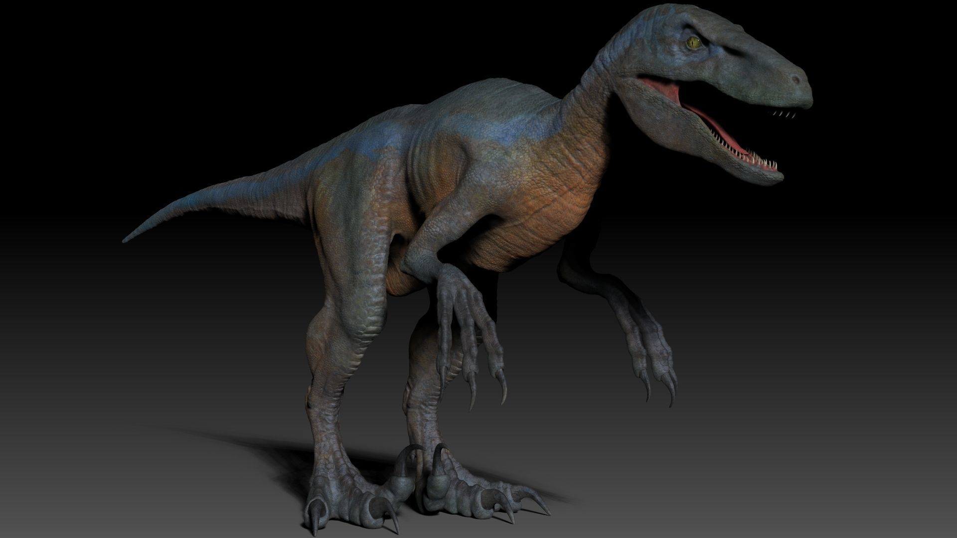 Dinosaur RAPTOR Dinosaur Hybrid Velociraptor Sculpt Project 3D model_15